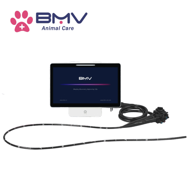 EquiScan™ BVI-36 Multipurpose Veterinary Endoscope